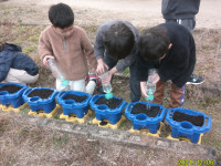 DSCF0268