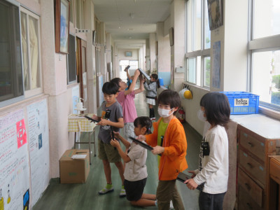 IMG_1209